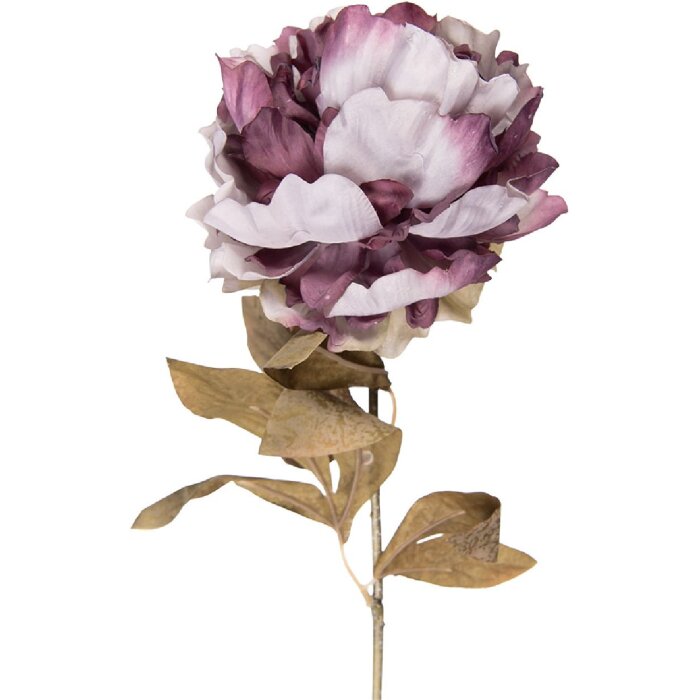 Fiore artificiale Clayre & Eef 5PL0247PA Rosa di Pasqua viola e verde 14x14x70 cm