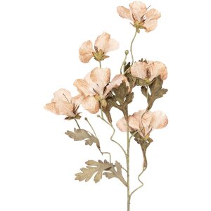 Decorazione ramo con fiori Clayre & Eef Beige-Verde 8x20x82 cm