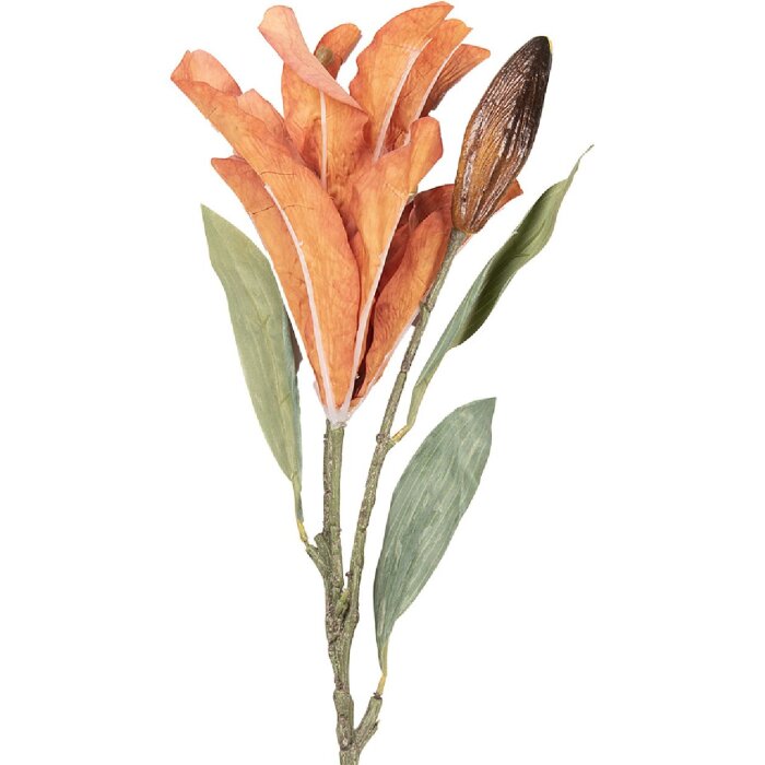 Ramo decorativo con fiori arancione e verde Clayre & Eef 12x16x88 cm