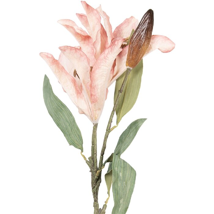 Decorazione ramo con fiori rosa e verde Clayre & Eef 5PL0252P 12x16x88 cm