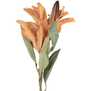 Decorazione ramo con fiore Clayre & Eef Marrone Verde 12x16x88 cm