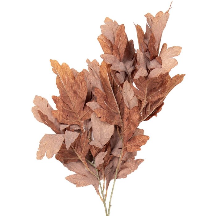 Decorazione ramo Clayre & Eef 5PL0253CH marrone-verde 15x22x104 cm