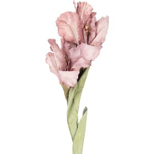 Decorazione Clayre & Eef 5PL0256P ramo con fiori rosa-verde 10x18x85 cm