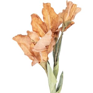 Decorazione ramo con fiori Clayre & Eef 5PL0256Y 10x18x85 cm Marrone-Verde