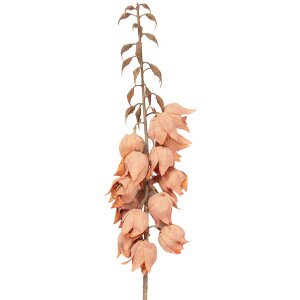 Decorazione Clayre & Eef 5PL0257P ramo con fiori arancio-marrone 12x12x100 cm