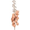 Decorazione Clayre & Eef 5PL0257P ramo con fiori arancio-marrone 12x12x100 cm