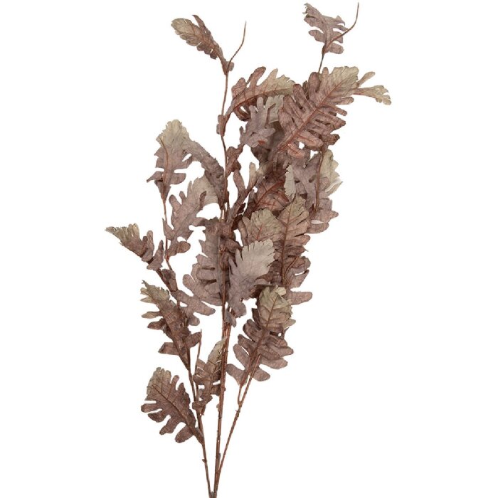 Decorazione ramo Clayre & Eef Beige-Braun 10x15x108 cm