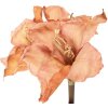 Fiore artificiale Clayre & Eef 5PL0264P 16x16x65 cm Arancio-Marrone