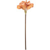 Fiore artificiale Clayre & Eef 5PL0264P 16x16x65 cm Arancio-Marrone