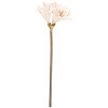 Fiore artificiale Clayre & Eef 5PL0264W beige-marrone 16x16x65 cm