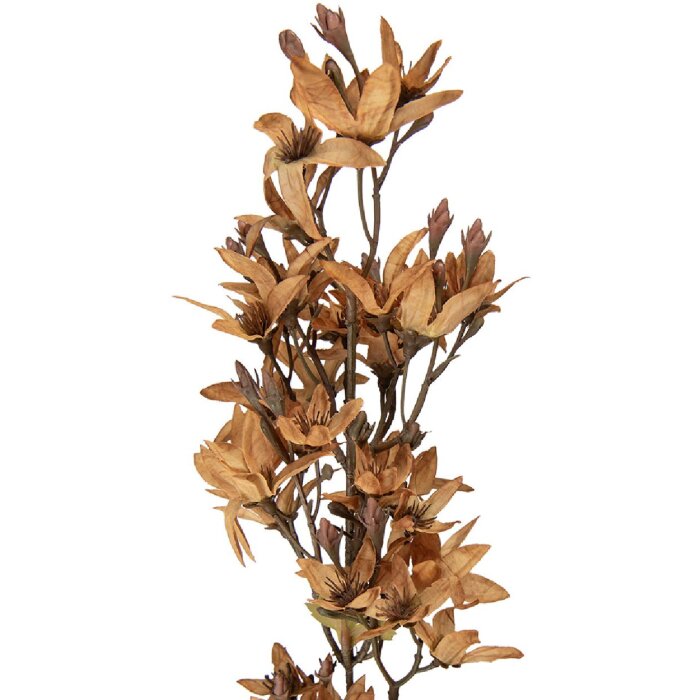 Decorazione ramo con fiori Clayre & Eef Marrone-Verde 10x10x95 cm