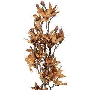 Decorazione ramo con fiori Clayre & Eef Marrone-Verde 10x10x95 cm