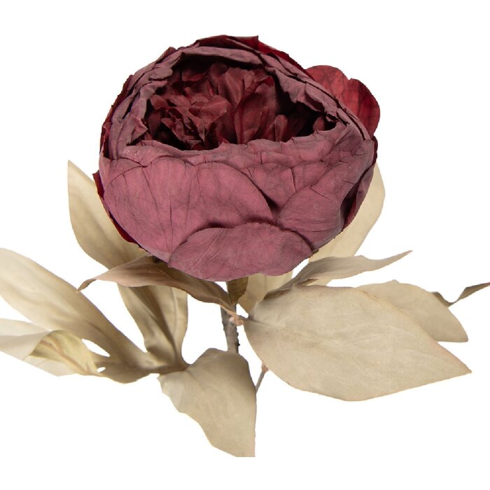 Fiore artificiale Clayre & Eef Rosso-Verde 11x11x62 cm