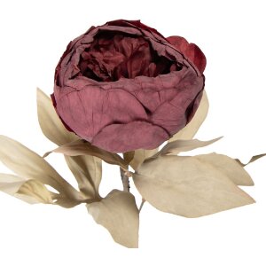 Fiore artificiale Clayre & Eef Rosso-Verde 11x11x62 cm