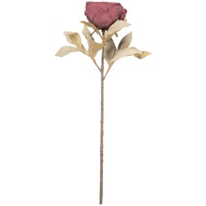 Fiore artificiale Clayre & Eef Rosso-Verde 11x11x62 cm