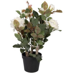Pianta artificiale rosa Clayre & Eef Bianco-Verde 20x20x55 cm