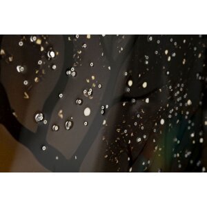 Quadro murale Mauro Ferretti "Pavone" – Tela decorativa con cornice 70x100 cm