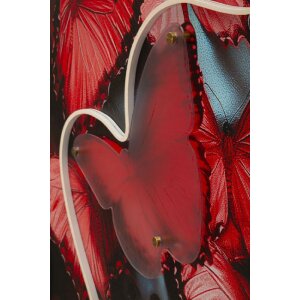 Quadro LED "Butterflies" Mauro Ferretti 60x90 cm – applicazione 3D in acrilico multicolore rosso