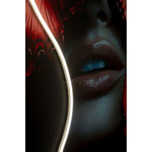 Quadro LED "Butterflies" Mauro Ferretti 60x90 cm – applicazione 3D in acrilico multicolore rosso