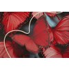 Quadro LED "Butterflies" Mauro Ferretti 60x90 cm – applicazione 3D in acrilico multicolore rosso