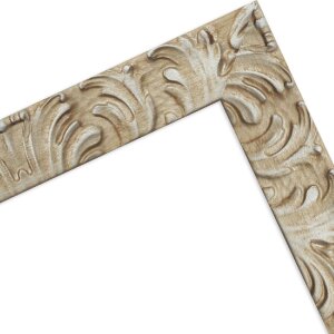 Cornice per foto MendeFrames H650 Barocco 50x100 cm argento-chiaro vetro trasparente