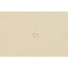 Exacompta Cartella con elastico 3 lembi Cartone Manila 400g DIN A4 avorio