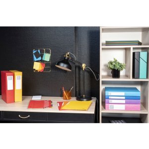 Archivio Scatola Exabox Spine 40mm Etichetta Manila Cartone Natura Futuro DIN A4 Turchese