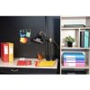 Archivio Scatola Exabox Spine 40mm Etichetta Manila Cartone Natura Futuro DIN A4 Turchese
