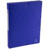 Scatola darchivio Exabox dorso 40 mm con etichetta in cartone Manila Scotten Nature Future, DIN A4 Blu