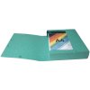 Exabox dorso 60mm con etichetta Manila cartone Scotten Nature Future, DIN A4 Verde