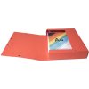 Scatola darchivio Exabox dorso 60 mm con etichetta in cartone Manila Scotten Nature Future, DIN A4 Rosso