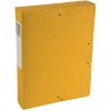 Scatola darchivio Exabox dorso 60 mm con etichetta Manila cartone Scotten Nature Future, DIN A4 Giallo