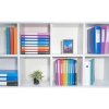 Raccoglitore ad anelli A4 Uni PP oE 2R 15mm assortiti 1 pezzo