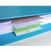 Confezione da 100 divisori perforati in cartone riciclato 190g Forever, 105x142mm colori assortiti