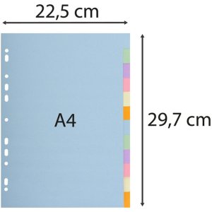 Registri in cartone riciclato 180g con 12 posizioni Forever, per formato din a4