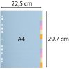 Registri in cartone riciclato 180g con 12 posizioni Forever, per formato din a4