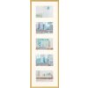 Walther Gallery Frame New Lifestyle 5 foto 10x15 cm oro