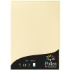 A4 Carta polline 120g 50 fogli camoscio