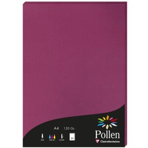 Carta polline A4 120g 50 fogli lampone
