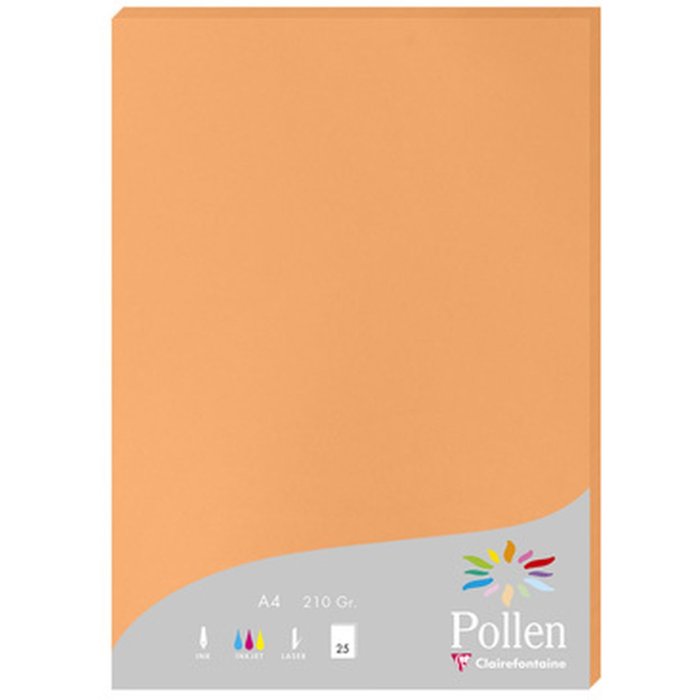 Carta a4 Pollen 210g Clementine 25 fogli