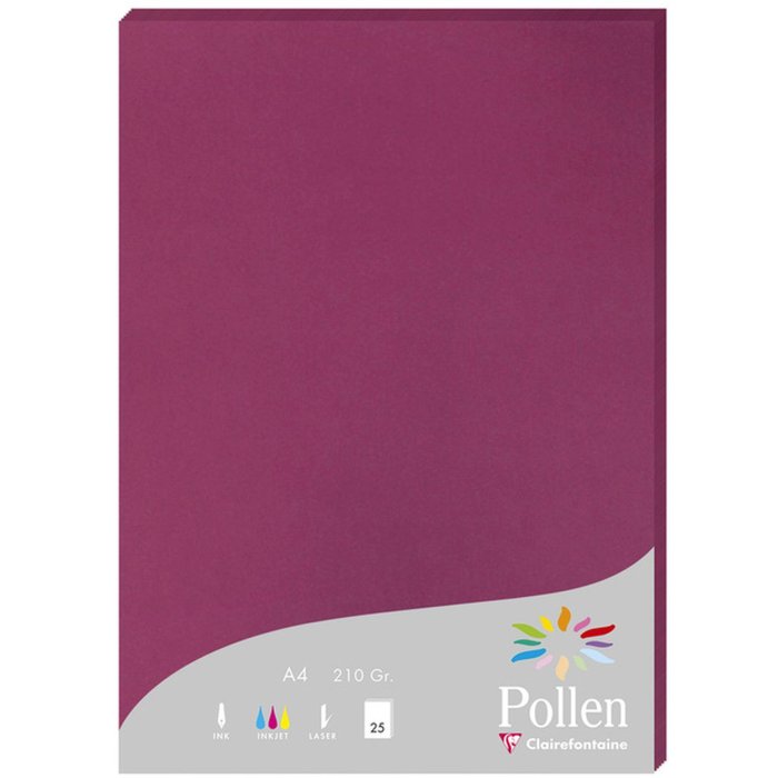 Carta A4 Pollen 210g lampone 25 fogli