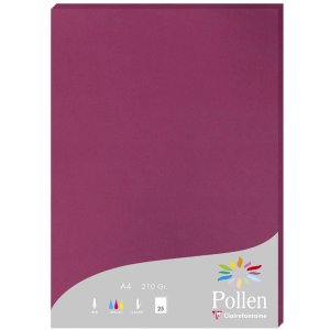 Carta A4 Pollen 210g lampone 25 fogli