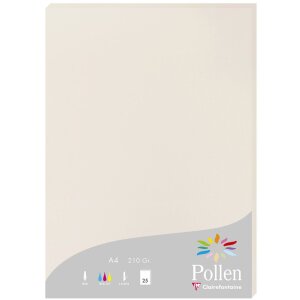 Carta A4 Pollen 210g grigio 25 fogli