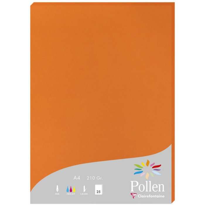 25 fogli di carta Pollen, DIN A4, 210g rosso cappuccino