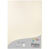 Carta Pollen A4 210g 25 fogli avorio perlato