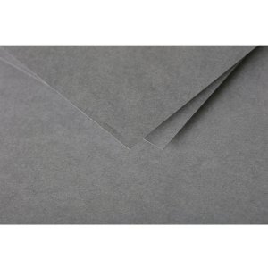 Carta C6 Pollen 210g Grigio scuro