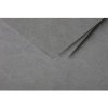 Carta C6 Pollen 210g Grigio scuro