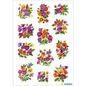 gli adesivi colorati con le violette scintillavano dalla...