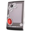 cuori glitterati in look zebrato dalla serie glam ROCKS