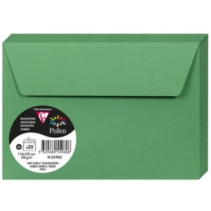 Busta C6 Polline 120g verde abete